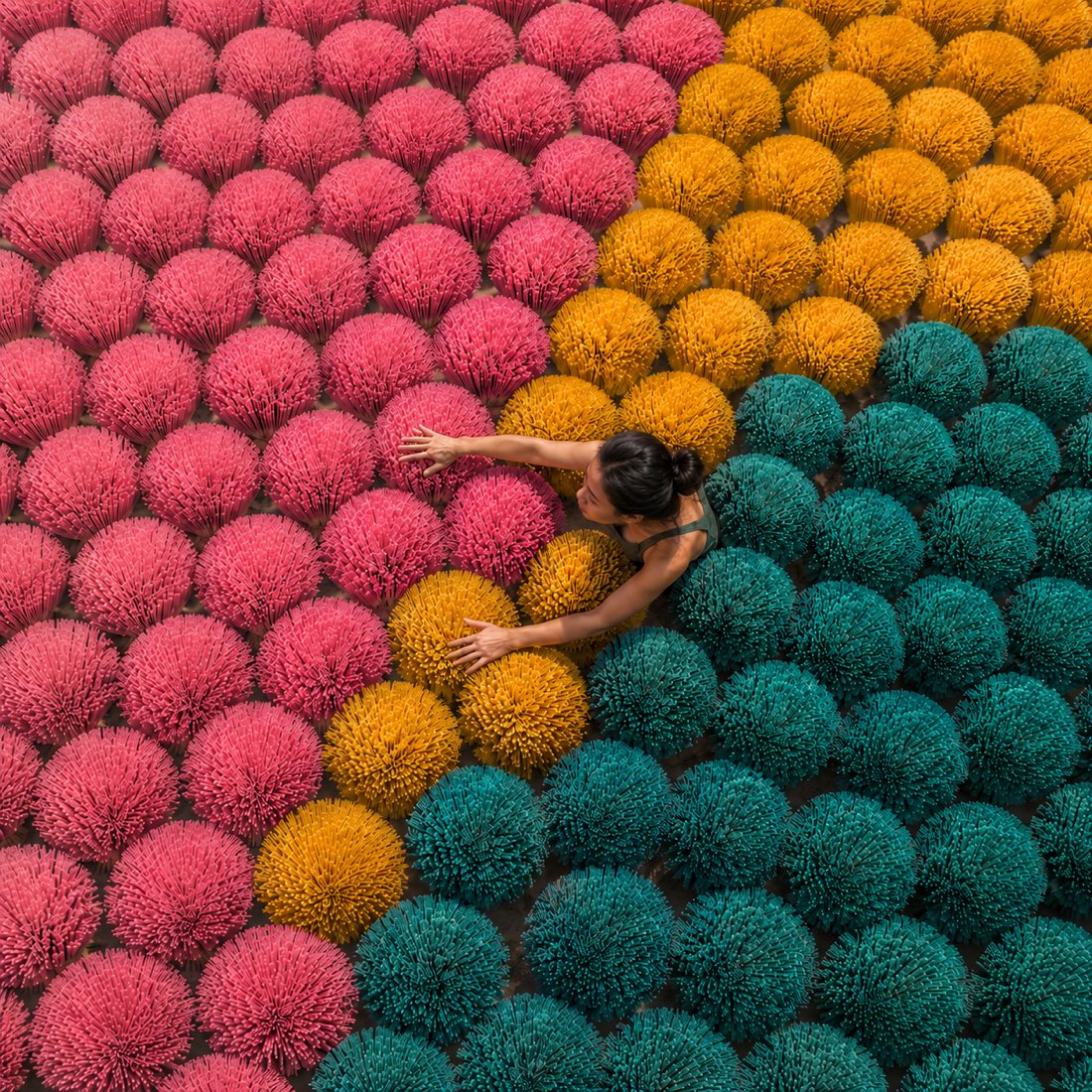 Mani che scelgono fasci di fiori impossibili colorati